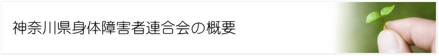 神奈川県身体障害者連合会の概要